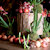 THEUN & bloemen Voorburg - bekijk foto 2012/3