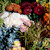 THEUN & bloemen Voorburg - bekijk foto 2012/4