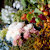 THEUN & bloemen Voorburg - bekijk foto 2012/10